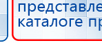 СКЭНАР-1-НТ (исполнение 01 VO) Скэнар Мастер купить в Владикавказе, Аппараты Скэнар купить в Владикавказе, Дэнас официальный сайт denasolm.ru